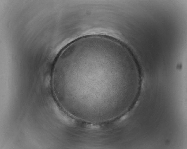 X0000112211505200908141445