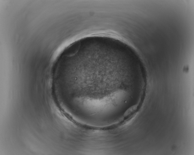 X0000112211506200908141445