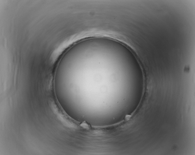 X0000112211507200908141445