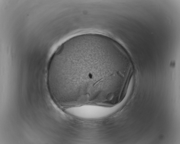 X0000112211508200908141445