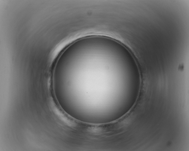 X0000112211511200908141446