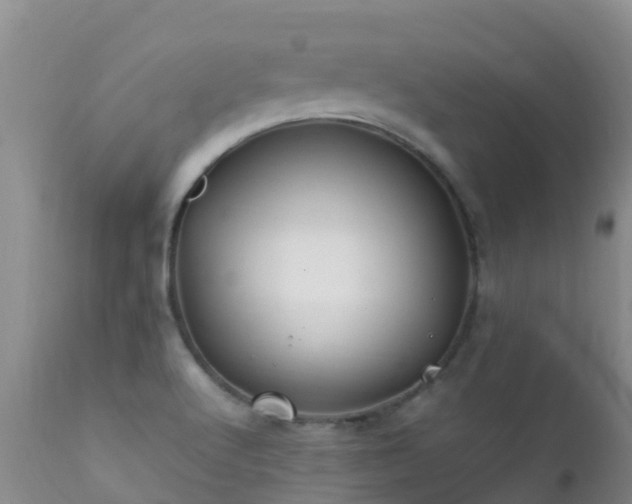 X0000112211512200908141446