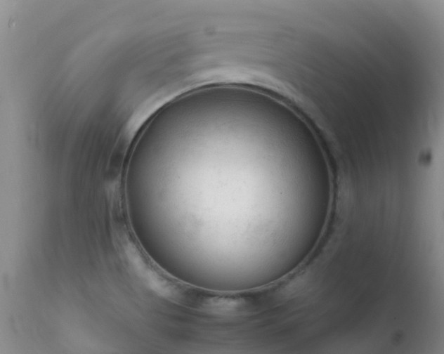 X0000112211513200908141446