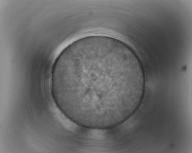 X0000112211514200908141446