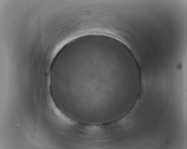 X0000112211515200908141446