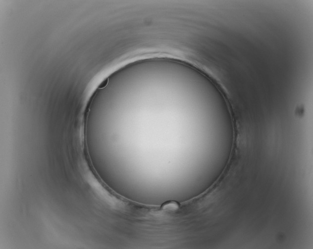 X0000112211516200908141446