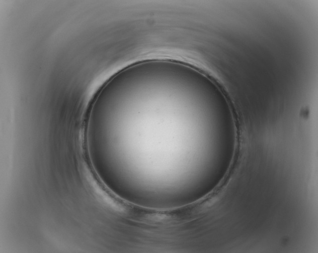 X0000112211517200908141446