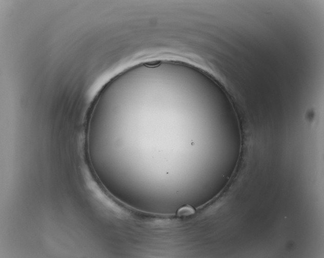 X0000112211518200908141446