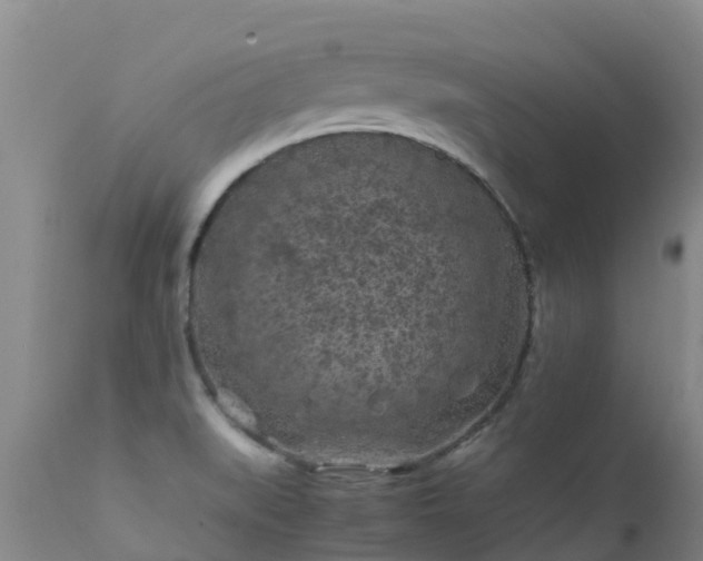 X0000112211519200908141446