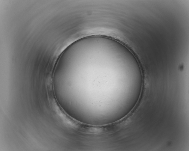 X0000112211521200908141446