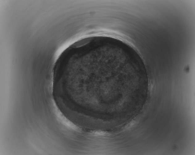 X0000112211522200908141446