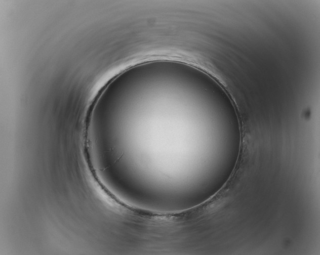 X0000112211523200908141446