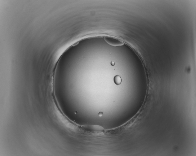 X0000112211524200908141446