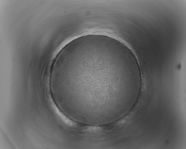 X0000112211525200908141446