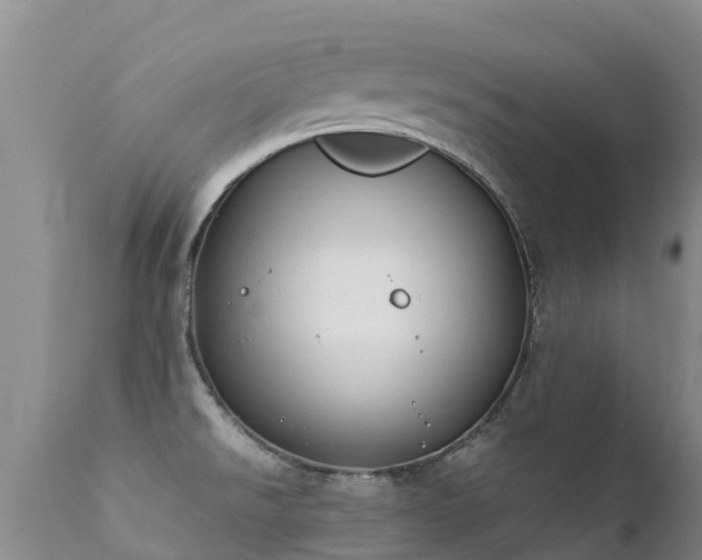 X0000112211526200908141446