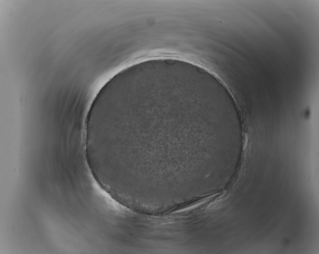 X0000112211527200908141446