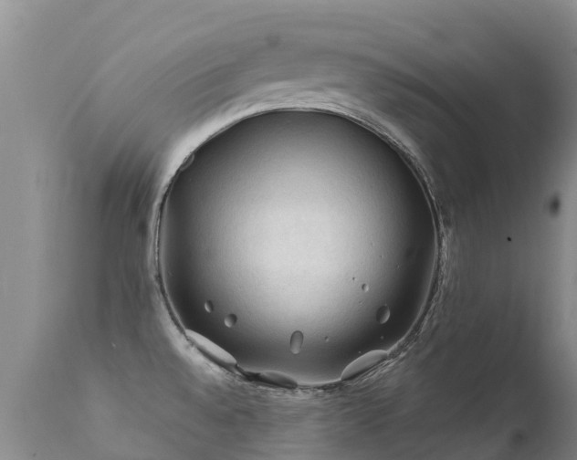 X0000112211528200908141446