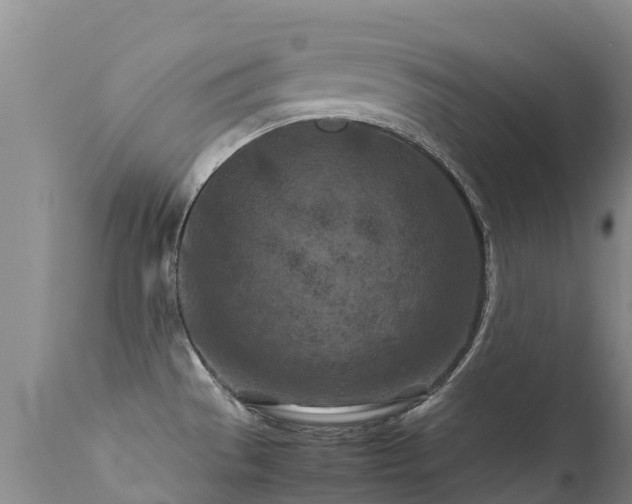 X0000112211529200908141446