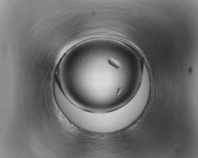 X0000112211530200908141446