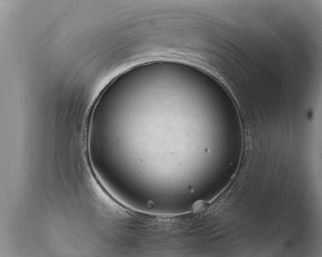 X0000112211531200908141446