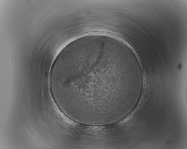 X0000112211533200908141446