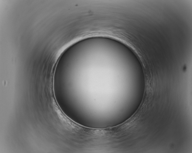 X0000112211534200908141446