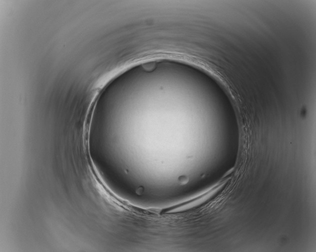 X0000112211535200908141446