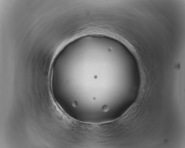 X0000112211536200908141446