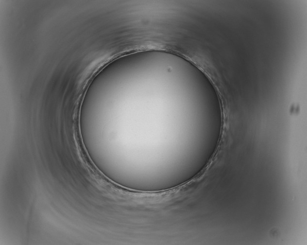 X0000112210001200908211529