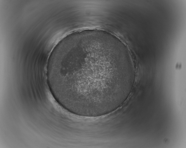 X0000112210002200908211529