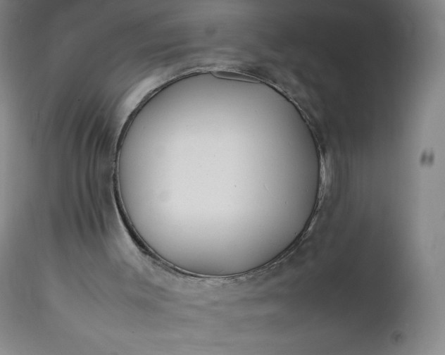 X0000112210003200908211529