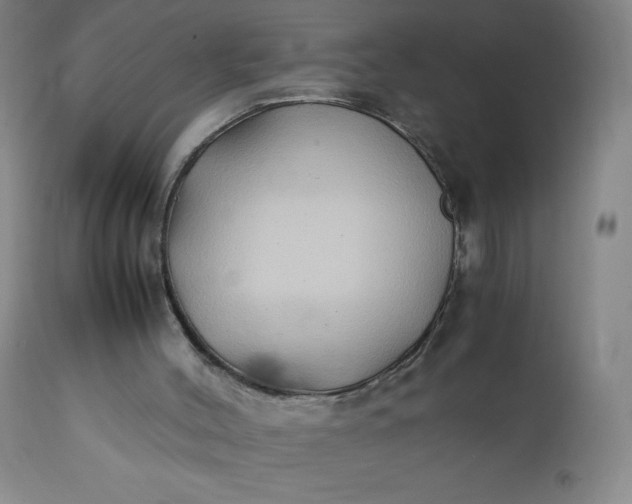 X0000112210004200908211529