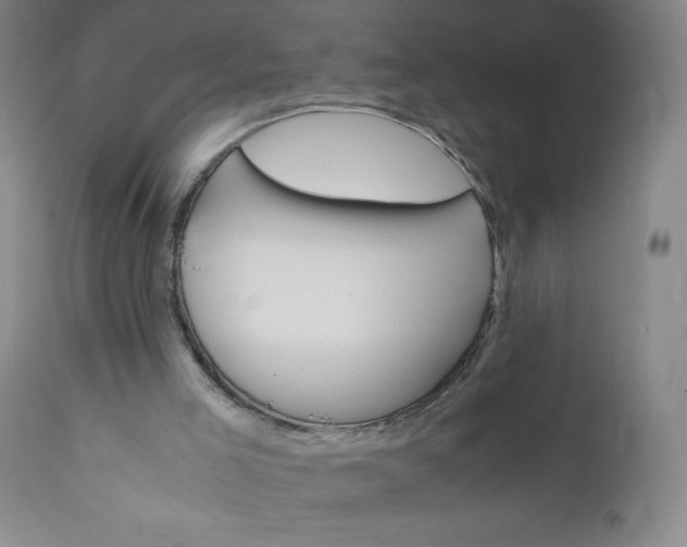 X0000112210005200908211529