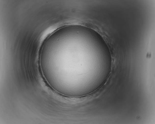 X0000112210006200908211529