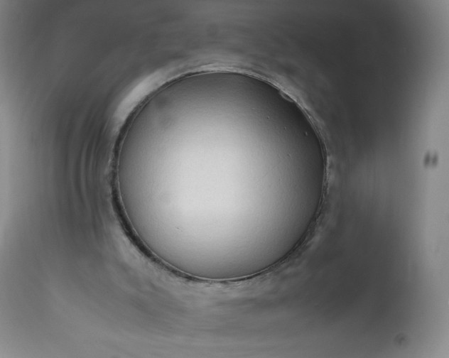 X0000112210007200908211529