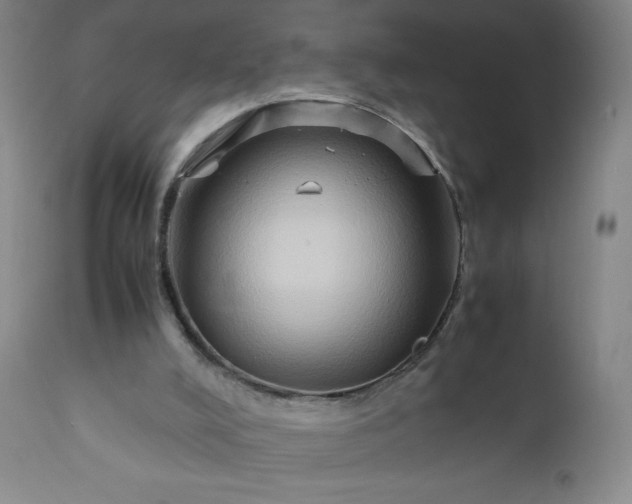 X0000112210008200908211529