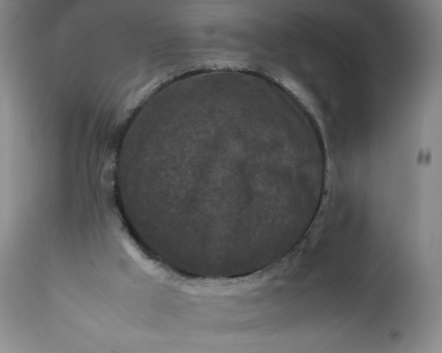 X0000112210009200908211529