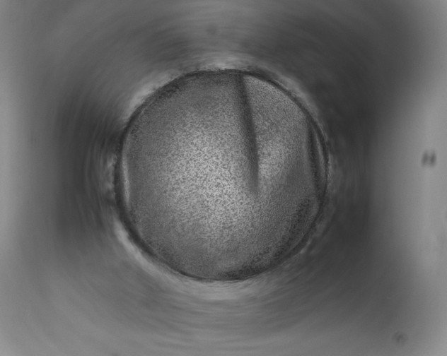 X0000112210010200908211529