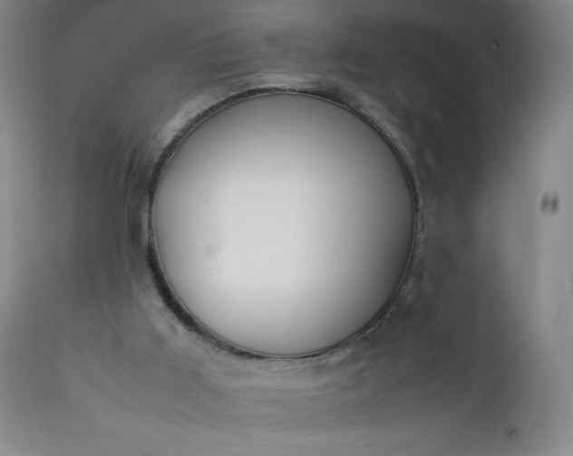 X0000112210011200908211529