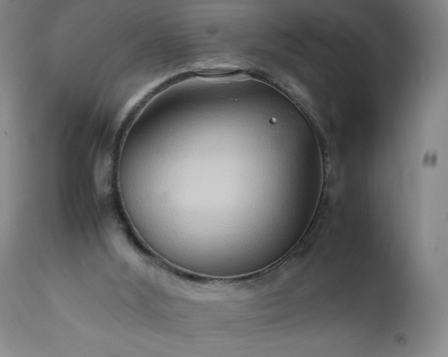 X0000112210012200908211529