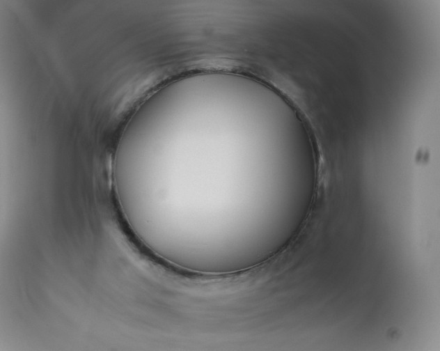 X0000112210013200908211529