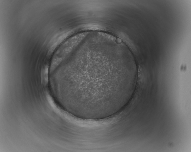 X0000112210014200908211529