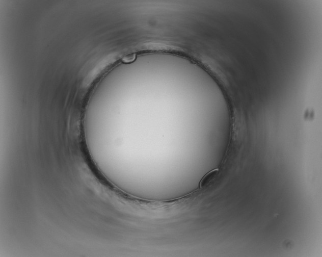 X0000112210015200908211529