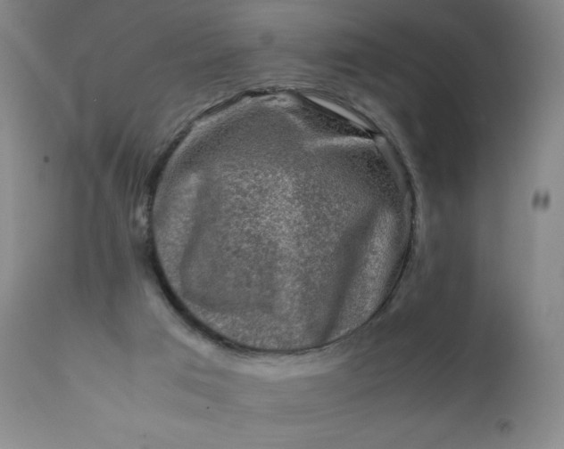 X0000112210017200908211529