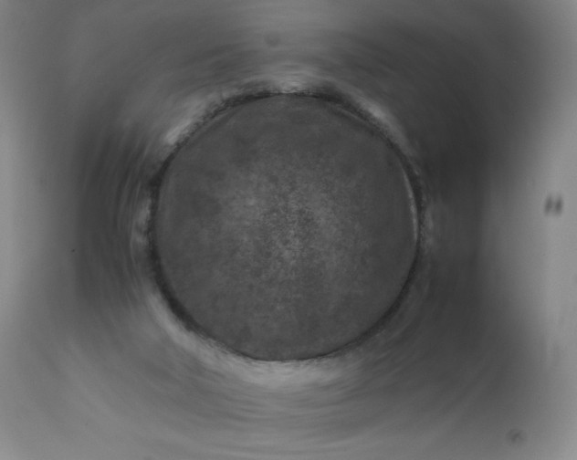 X0000112210018200908211529