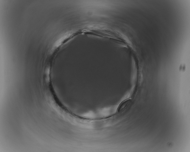 X0000112210019200908211529