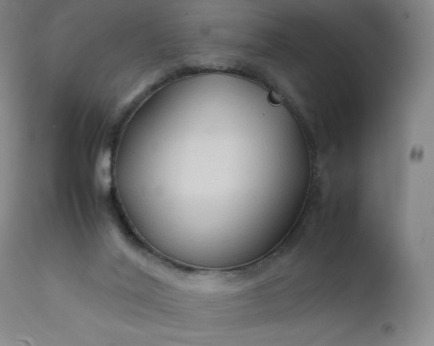 X0000112210020200908211529