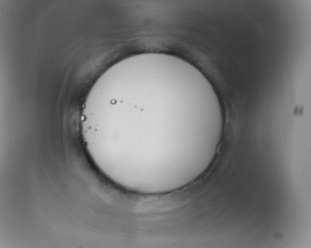 X0000112210021200908211529