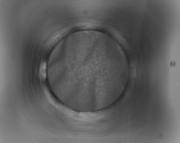 X0000112210022200908211529