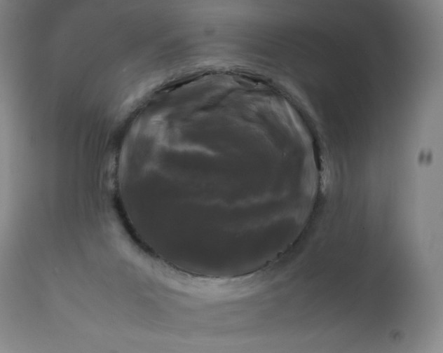 X0000112210023200908211529